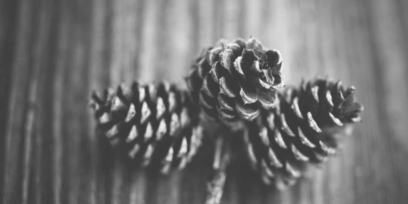 INIMEI化妆教程与护肤技巧：打造持久服帖的完美妆容