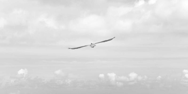 INIMEI洞察：解码美容护肤行业未来趋势与化妆品创新方向