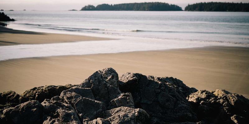 化妆品选购与INIMEI护肤技巧全解析：打造科学高效的日常护肤方案