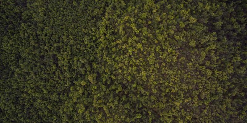 护肤品搓泥原因大揭秘：成分冲突、使用手法与解决方案 | INIMEI专业护肤指南