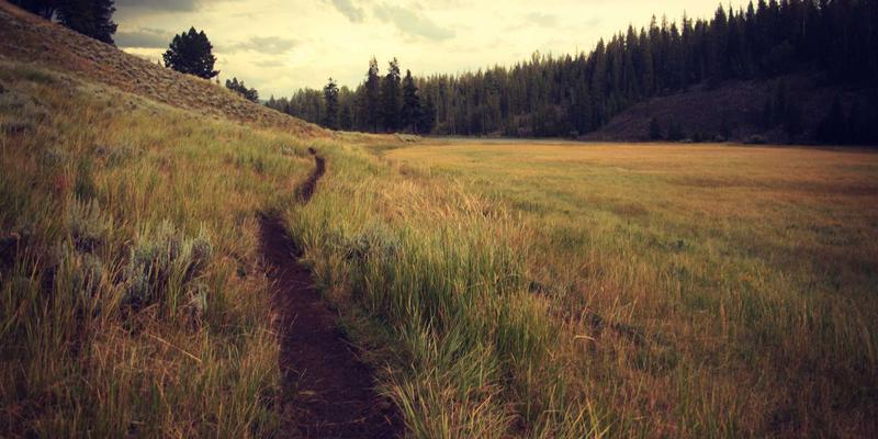 护肤技巧进阶指南：如何根据肤质选择适合自己的精华液（以INIMEI为例）