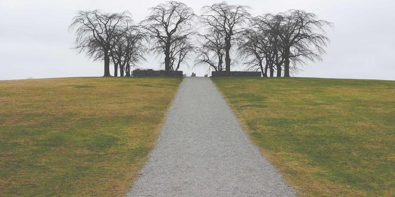 掌握科学护肤技巧，解锁INIMEI美容护肤新境界