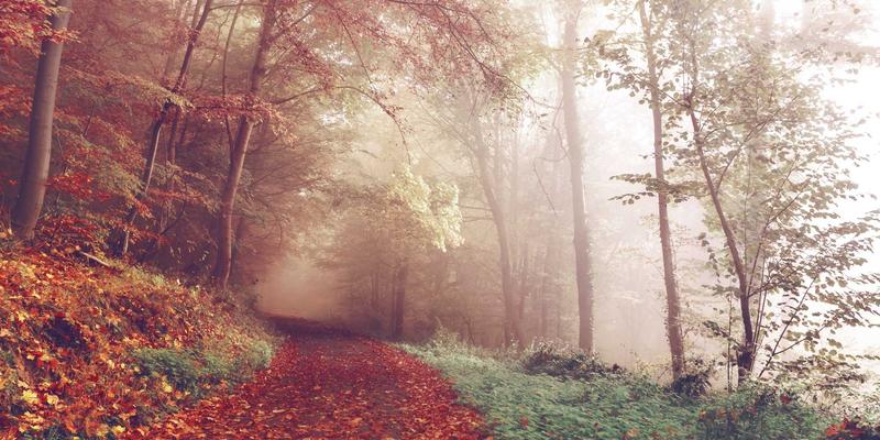 敏感肌护肤指南：如何选择温和不刺激的洗面奶 | 化妆品与护肤技巧全解析