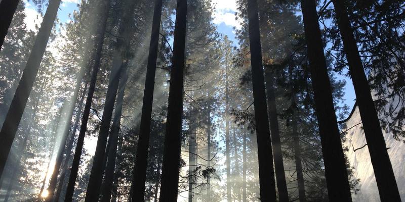 敏感肌换季维稳全攻略：3大护肤技巧应对泛红、干痒与屏障受损