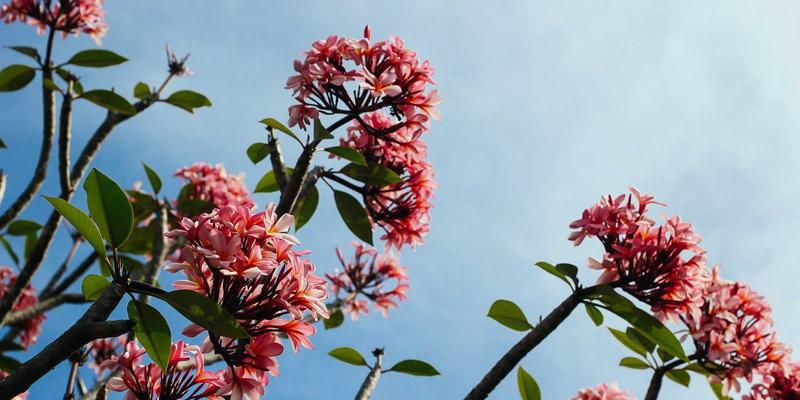 男生基础护肤全攻略：简单三步打造健康肌肤，附INIMEI等产品推荐