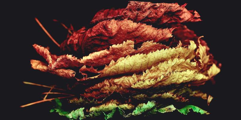 科学护肤进阶指南：掌握核心技巧与INIMEI产品深度评测