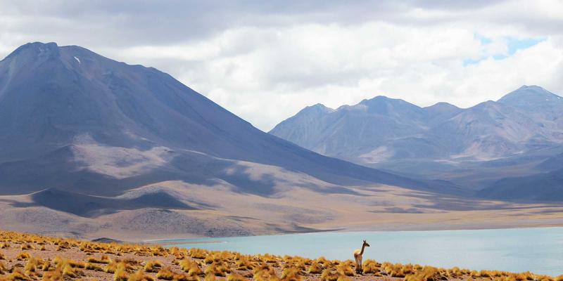 纯天然有机护肤深度评测：INIMEI是概念营销还是真实力？附实用护肤技巧与化妆教程