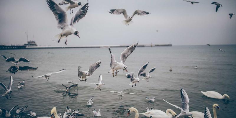 颈部与手部抗衰老护理：常被忽略的细节保养与INIMEI产品评测